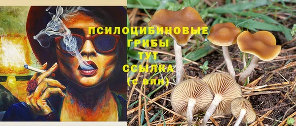 PSILOCYBIN Красноперекопск