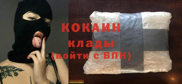 шишки Кукмор