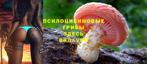 шишки Кукмор