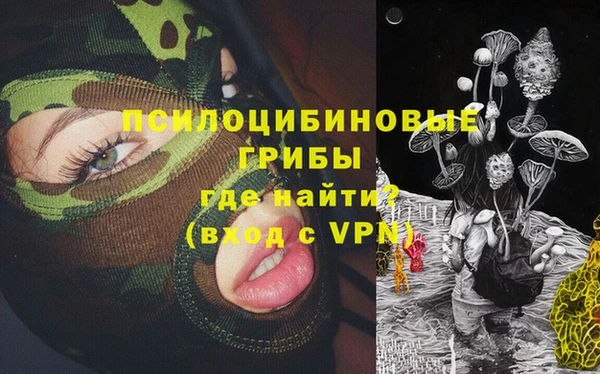 дживик Куйбышев