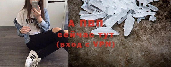 шишки Кукмор