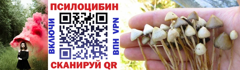 Псилоцибиновые грибы прущие грибы  как найти наркотики  Курлово 